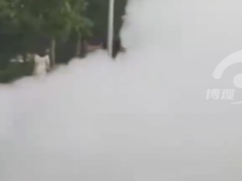 这是天庭下来的司机嘛
