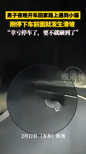 男子夜晚开车偶遇猫咪拦路，急刹躲避后下一秒前方出现塌方