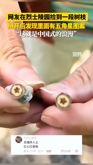 网友在烈士陵园捡了一根树枝，掰开发现竟然是五角星的图案