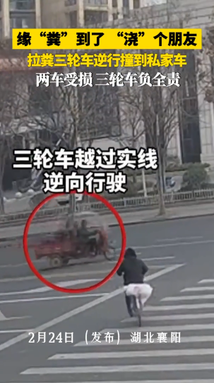 拉粪三轮车逆行撞到私家车，三轮车负全责