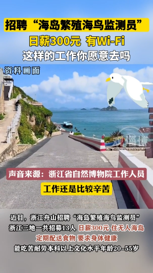 招聘“海岛繁殖海鸟监测员”，这样的工作你愿意去吗？