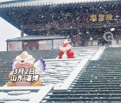 白雪却嫌春色晚，故穿庭树作飞花！韩愈笔下的《春雪》在此刻具象化了#淄博暴雪#三月飞雪