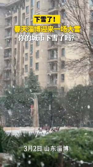 下雪了！3月2日，淄博迎来一场大雪，你的城市下雪了吗？