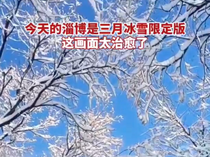 【视频】今天的淄博是三月冰雪限定版，这画面太治愈了