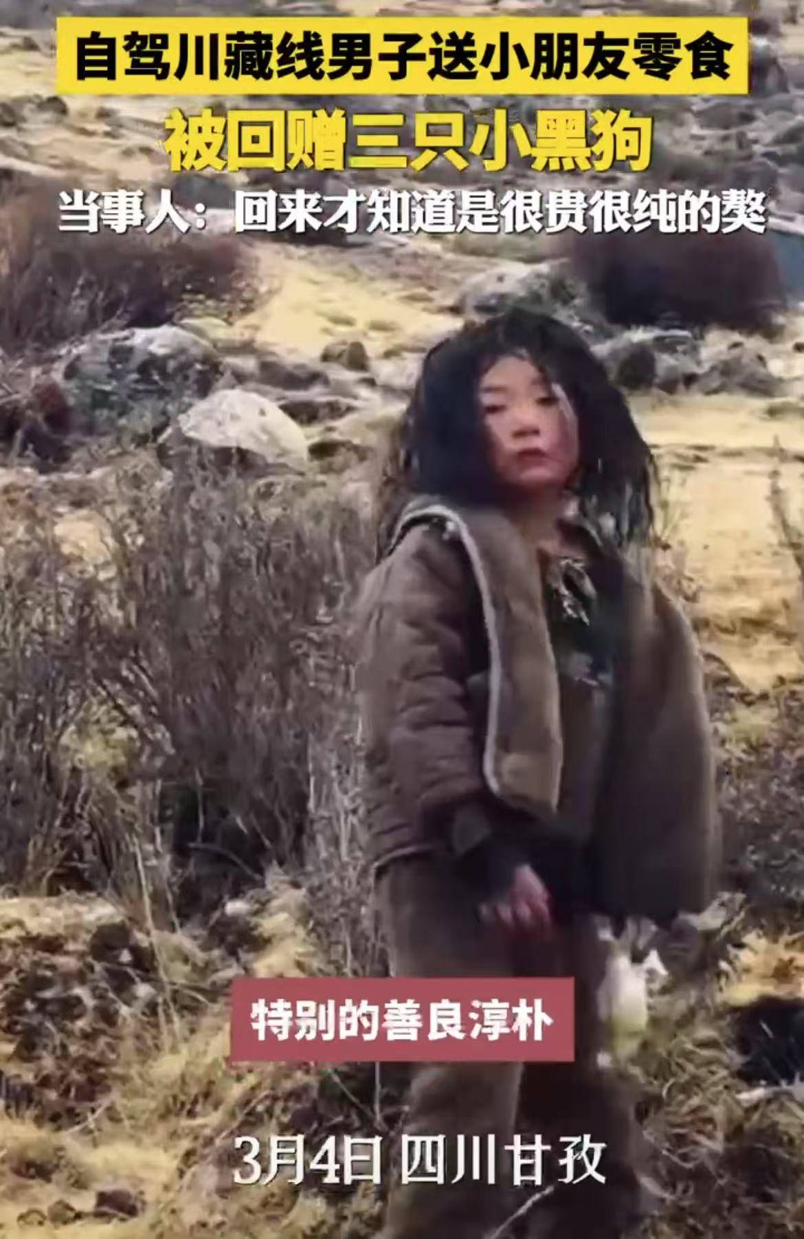 男子给小朋友送零食，小朋友家人回赠小黑狗,当事人：后来才知道他们送的是藏獒