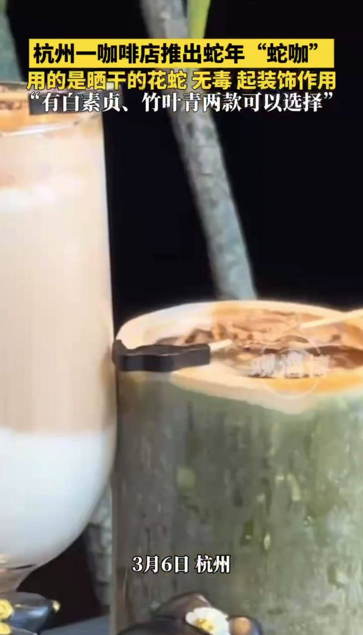 杭州一咖啡店推出蛇年“蛇咖”，用的是晒干的花蛇，无毒，起装饰作用