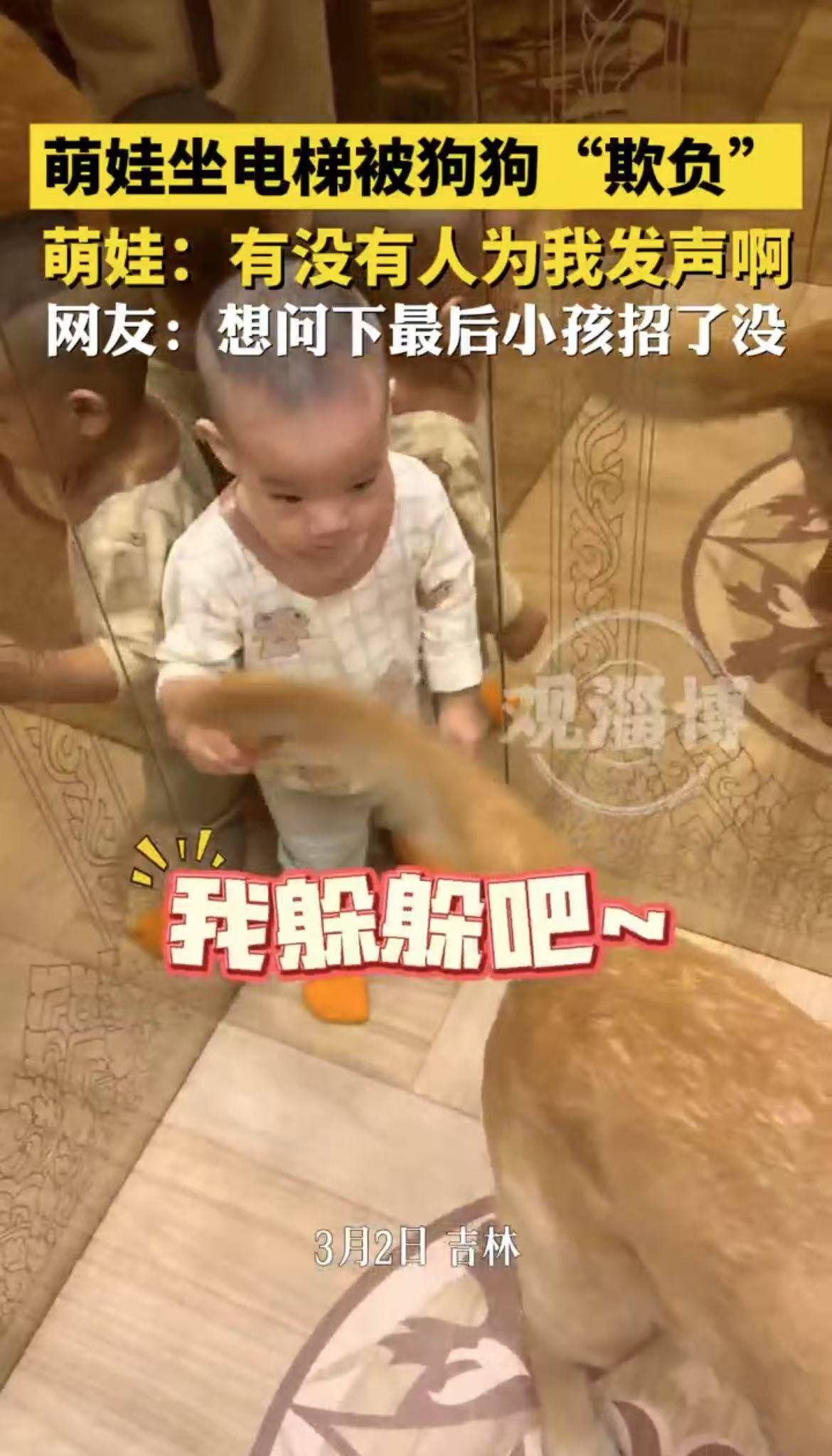 萌娃坐电梯被狗狗“欺负”，萌娃的反应太可爱