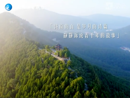通过DeepSeek看济南的山