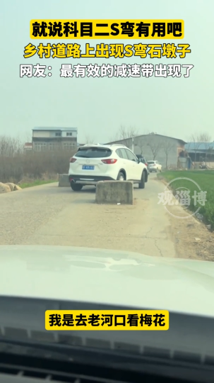 就说科目二S弯有用吧！乡村道路上出现S弯石墩子