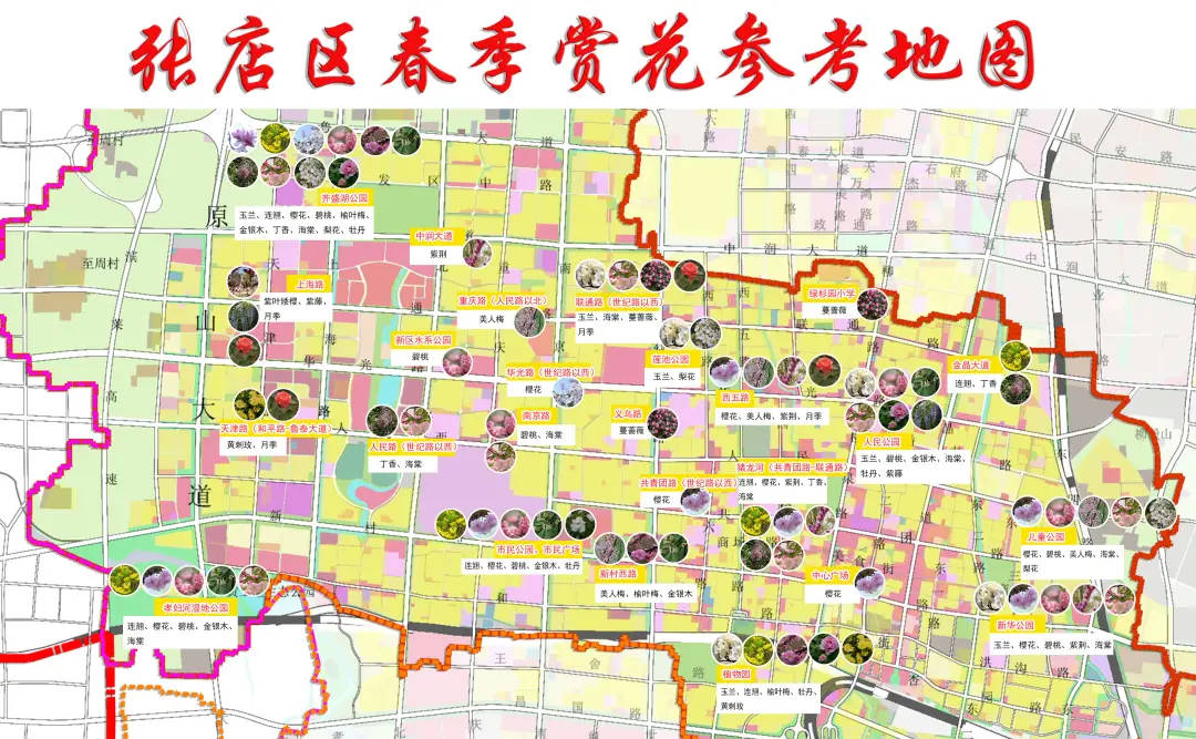 莫负好春光！淄博一地发布春季“追花”攻略