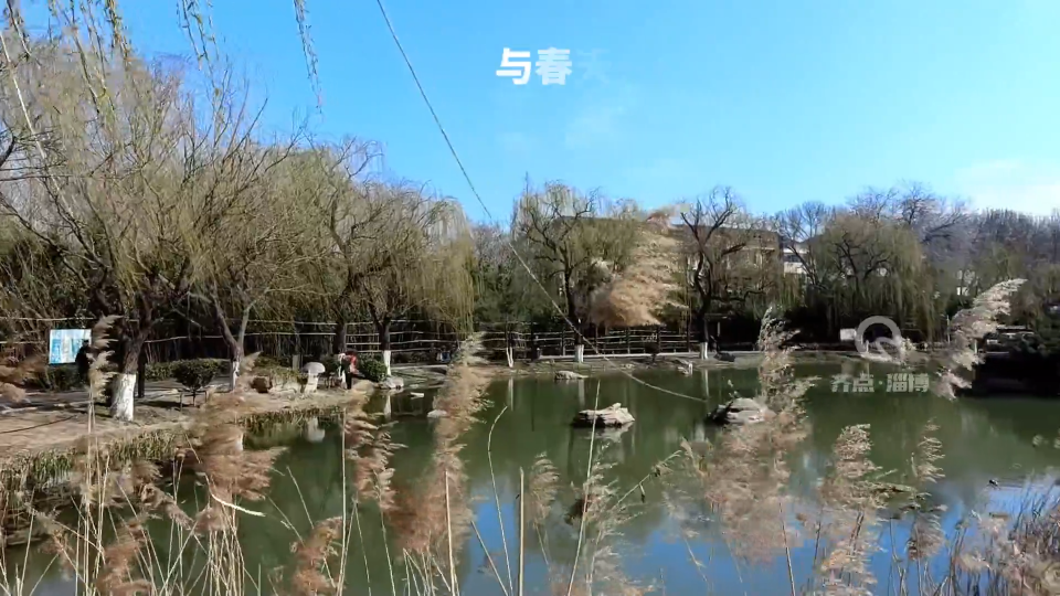【与春天一起逛公园·莲池公园】 莲池春色