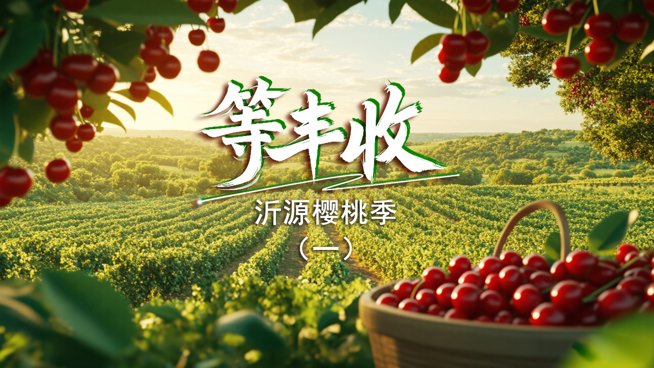 《等丰收》系列专题片（第一集）果树修剪正在进行，我们一起等丰收！