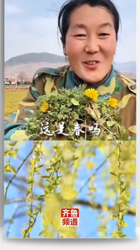 春天在此刻具象成真~山东52岁农民大姐为春天写诗太暖了