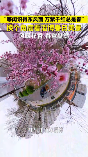换个角度看淄博春日美景，风暖花香，春意盎然