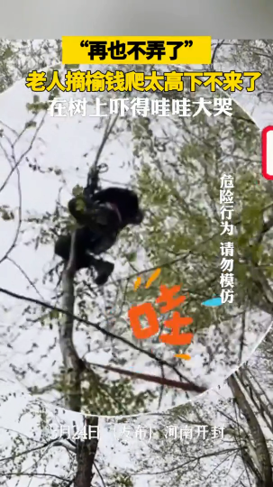 老人摘榆钱爬太高下不来了，在树上吓得哇哇大哭