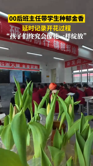 00后班主任带孩子种郁金香，延时记录开花过程