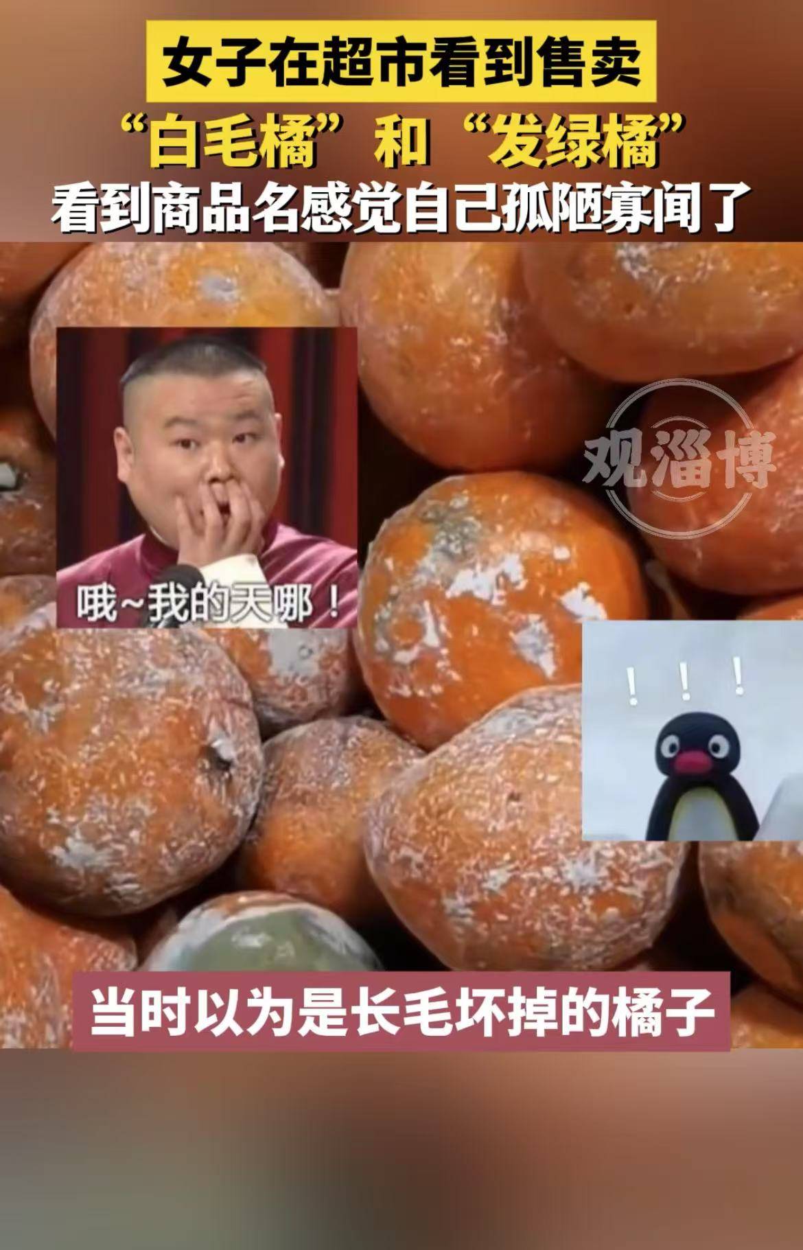 女子在超市看到售卖“白毛橘”和“发绿橘”，看到商品名感觉自己孤陋寡闻了