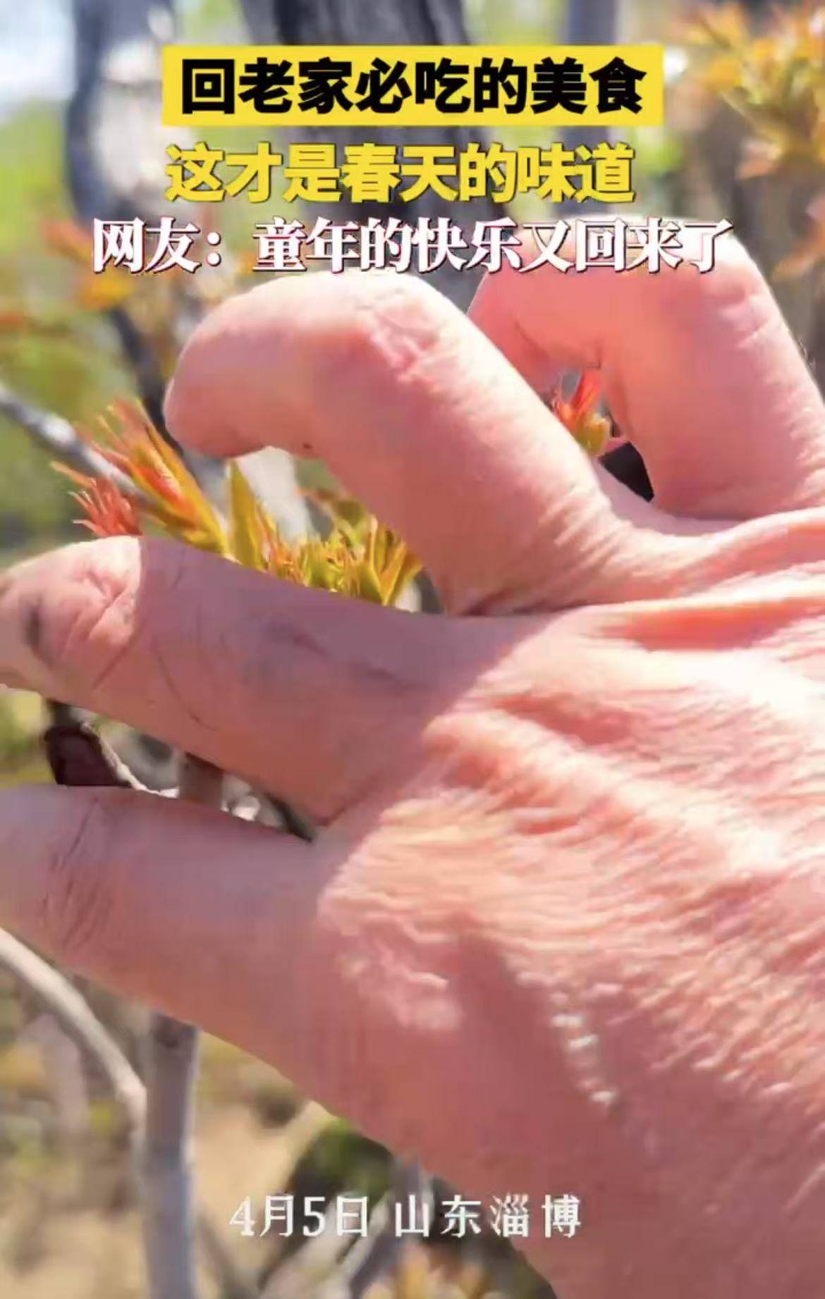 回老家必吃的美食，这才是春天的味道