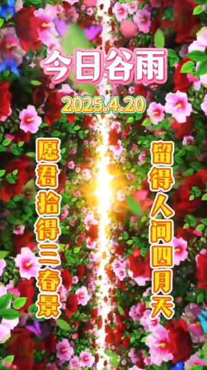 今天4月20日谷雨，愿君拾得三春景，留得人间四月天