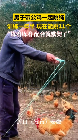 男子带公鸡一起跳绳，训练一年半，现在能跳11个