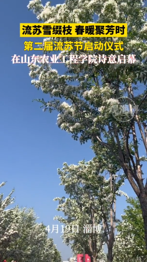 流苏雪缀枝，春暖聚芳时，第二届流苏节启动仪式在山东农业工程学院诗意启幕