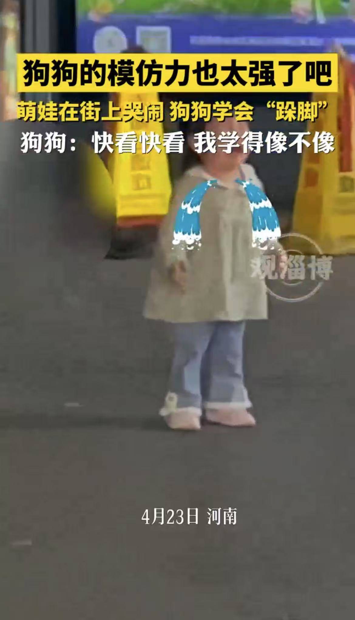 女童在路边大哭小狗在旁模仿，小狗：你看我学得像不像
