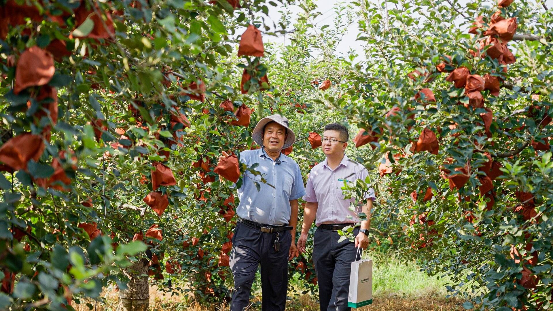 好网民·在淄博 | 徐洋：奋力书写外宣华章 彰显金融担当力量