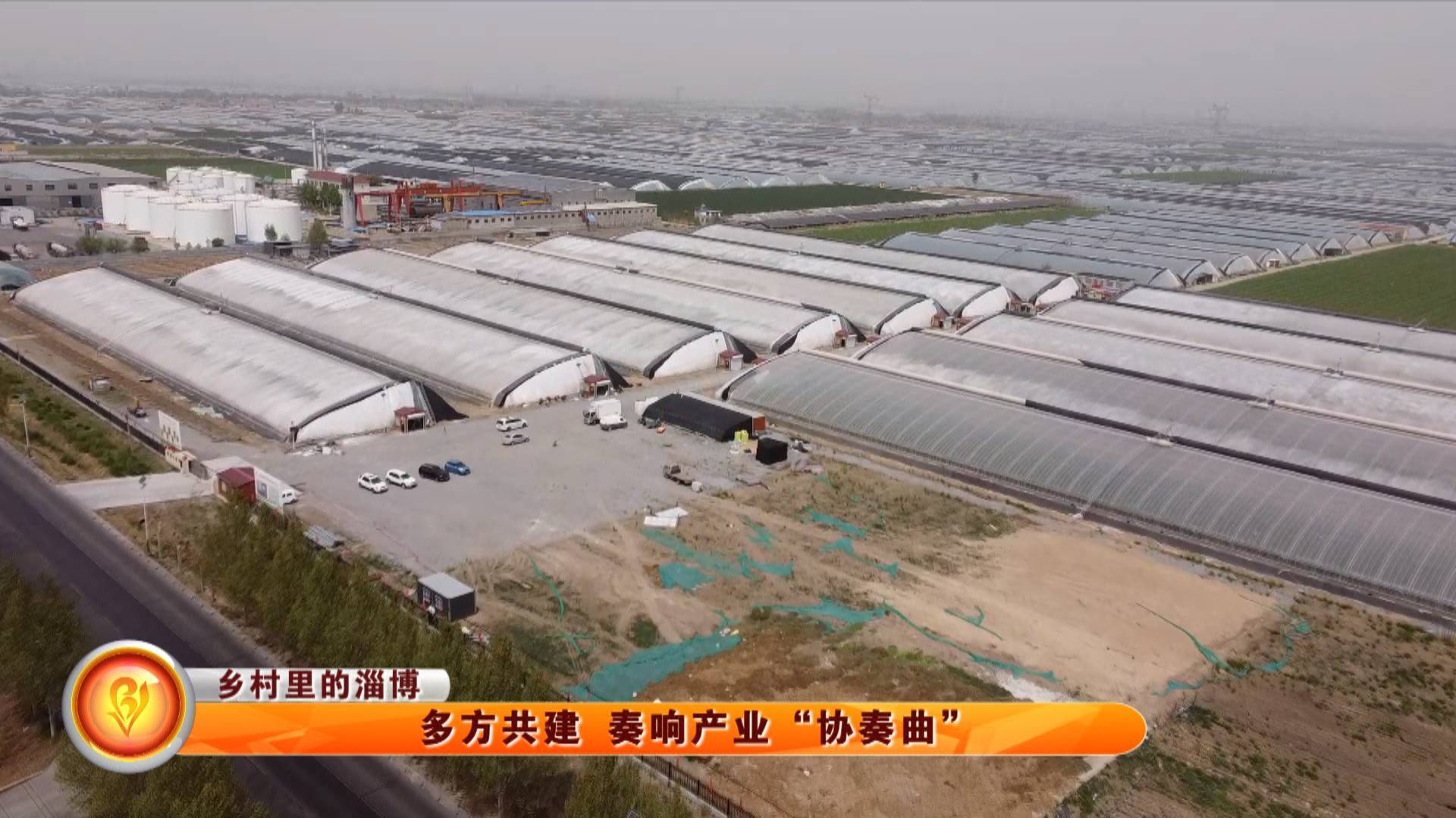 【乡村里的淄博】多方共建 奏响产业“协奏曲”