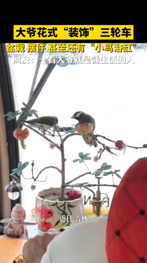 大爷花式“装饰”三轮车，盆栽摆件一应俱全