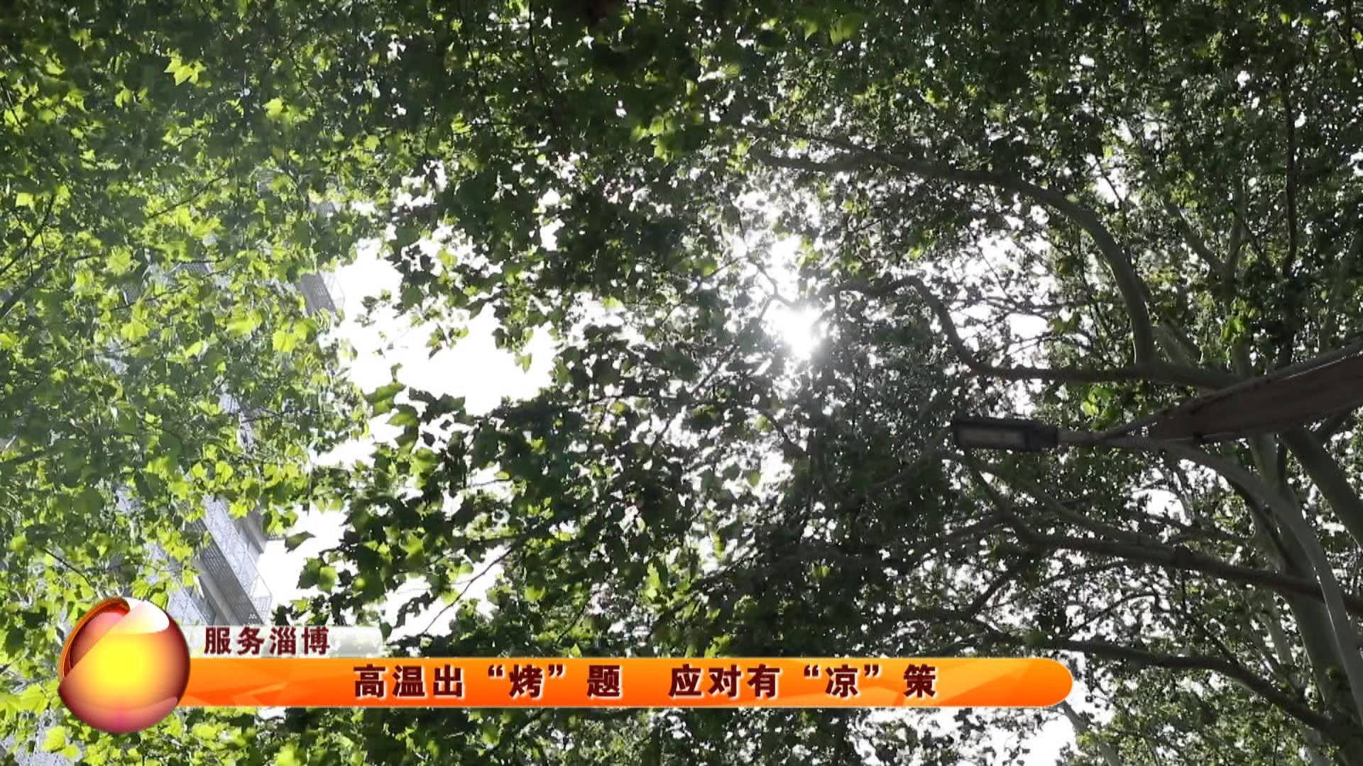 【服务淄博】高温出“烤”题,应对有“凉”策