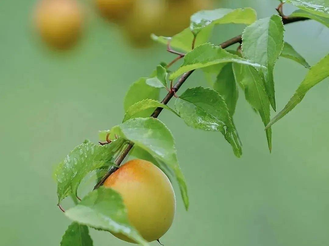 转发周知！下周上班时间有变
