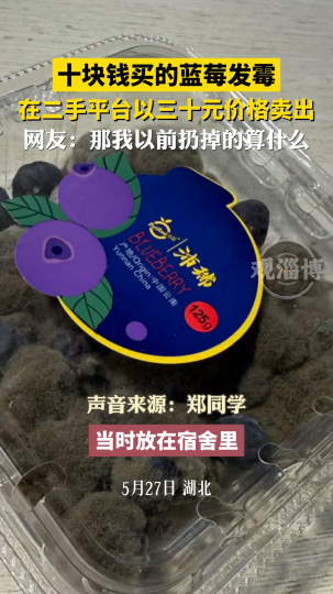10块的蓝莓变质了，结果被当30块的菌种卖了