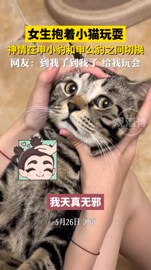 女生一个动作，让小猫在申小豹和申公豹之间来回切换