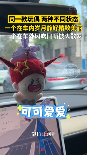 网友拍到同一款玩偶，有两种不同状态
