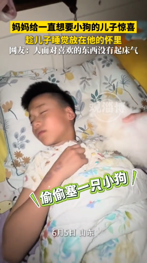儿子一直想要小狗，妈妈给了他一个大大的惊喜