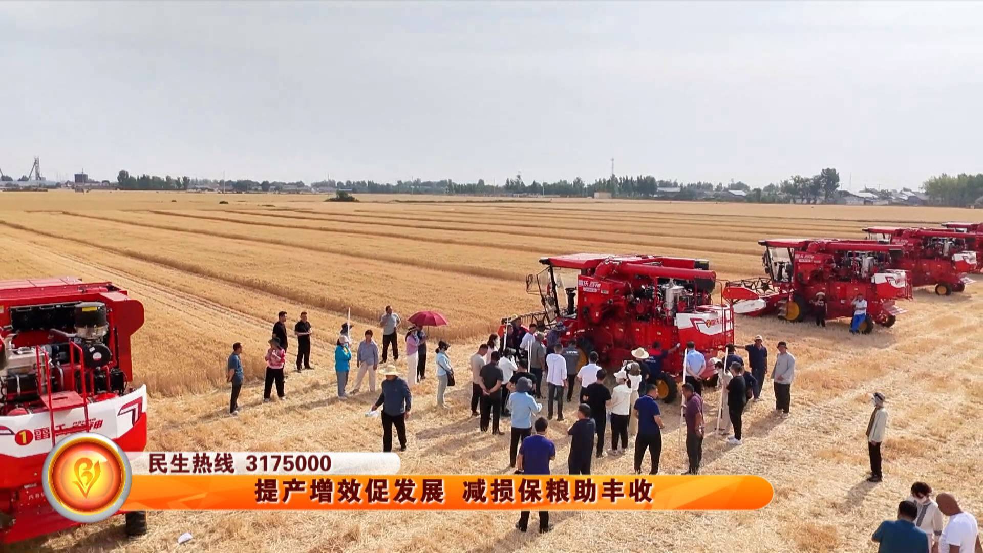 提产增效促发展 减损保粮助丰收