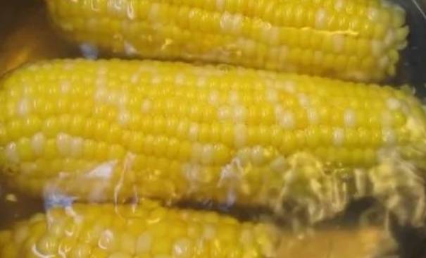 甜玉米和糯玉米，怎样选更好？