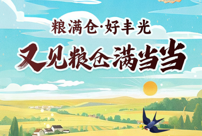 粮满仓·好丰光丨丰收时节看齐鲁，又见粮仓满当当