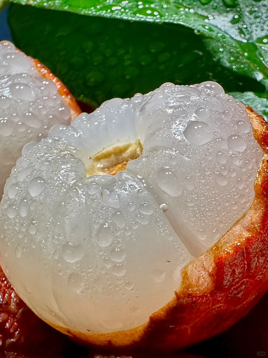 “没有这一口，我的夏天都不完整了！”