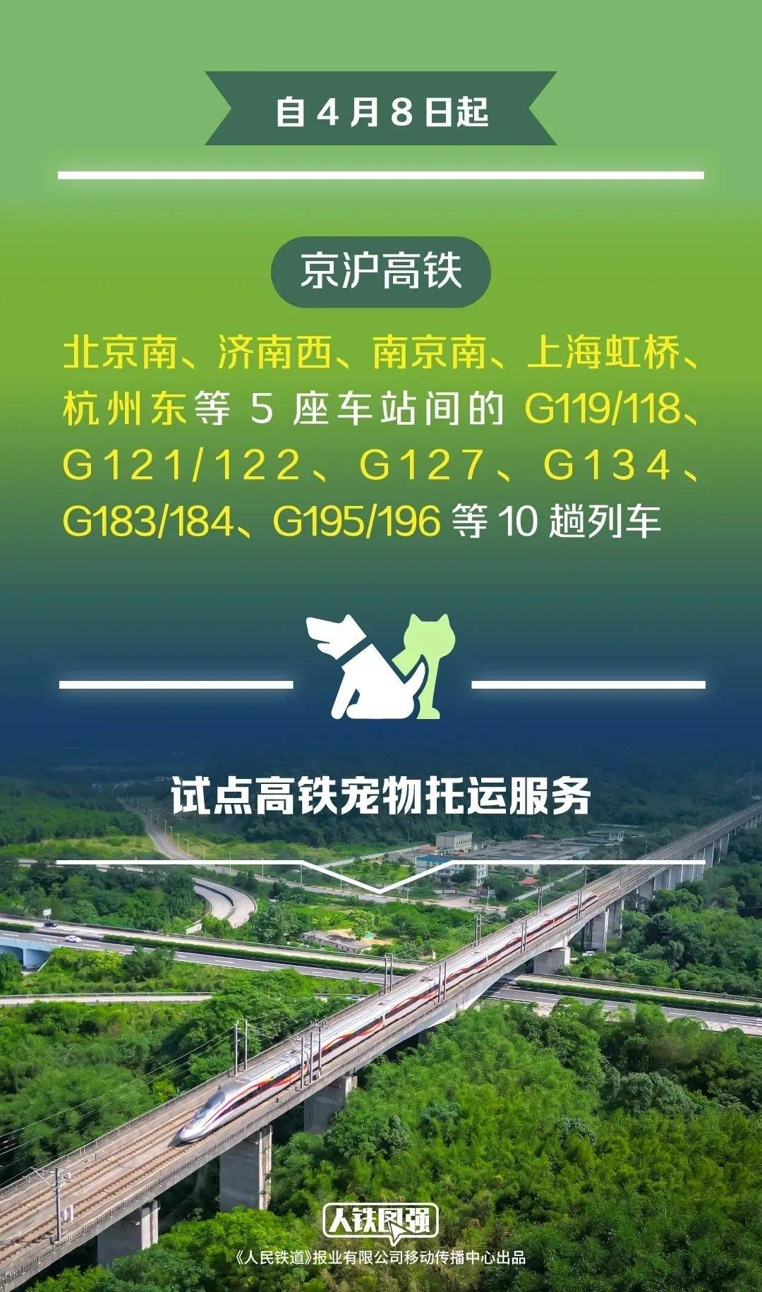 新增！这些高铁试点宠物托运服务→