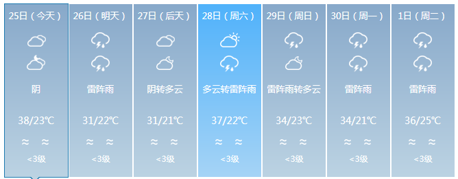 中到大雨局部暴雨+阵风9级！山东最新预报！淄博未来几天……