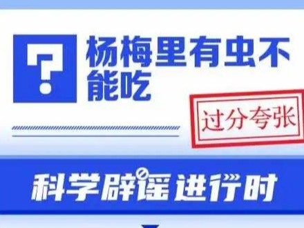 杨梅里有虫不能吃吗？