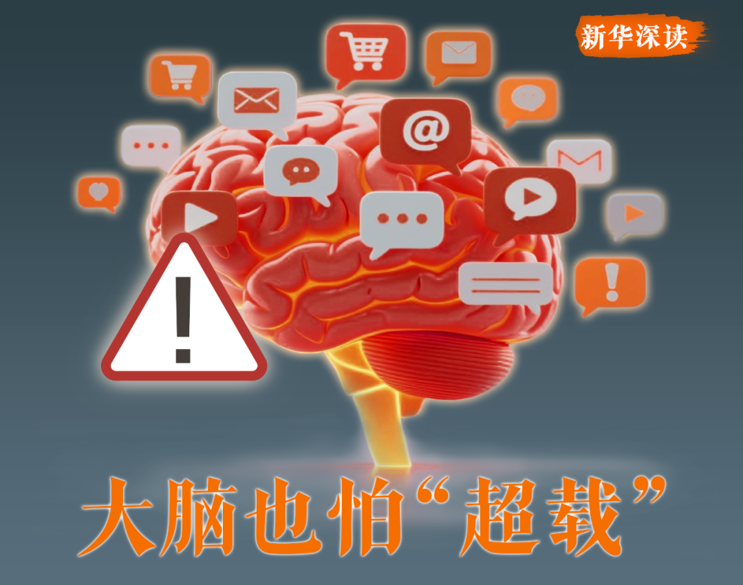 刷手机停不下来，为什么？