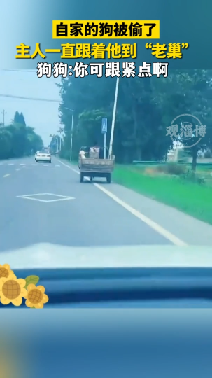 自家的狗被偷了 主人一直跟着他到&ldquo;老巢&rdquo;