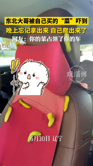 东北大哥买的&ldquo;菜&rdquo;忘记拿出来，结果第二天被吓到