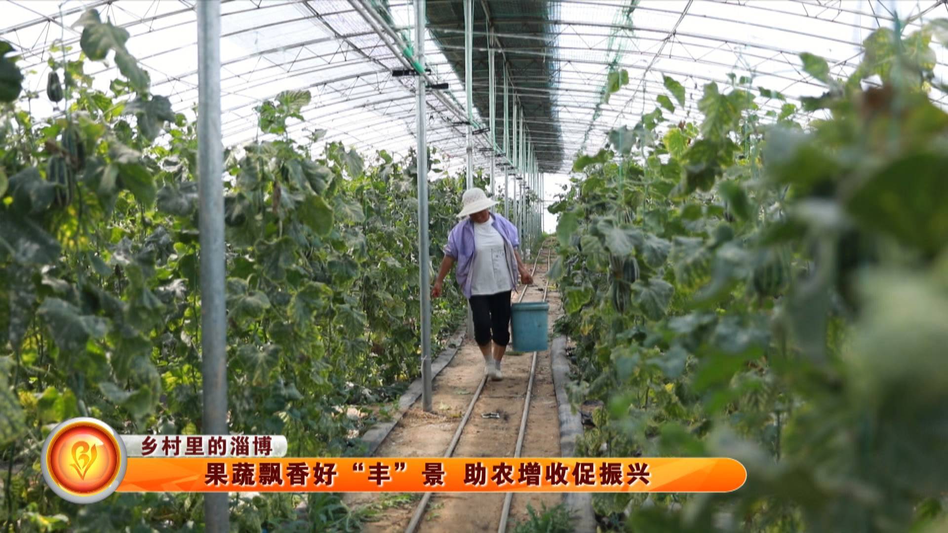【乡村里的淄博】果蔬飘香好“丰”景 助农增收促振兴