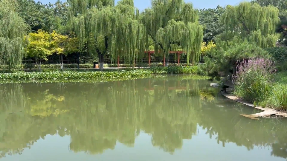 未来三天高温持续  局部39℃以上