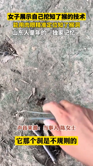 女子展现自己挖知了猴的技术，能用肉眼精准定位知了猴洞