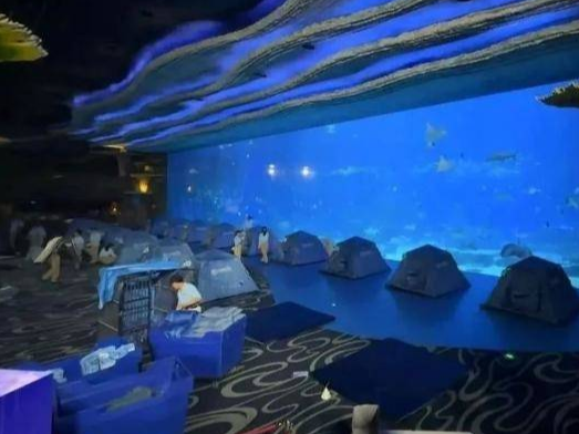 近2000元住一晚海洋馆，门票售罄！这种旅游方式火了