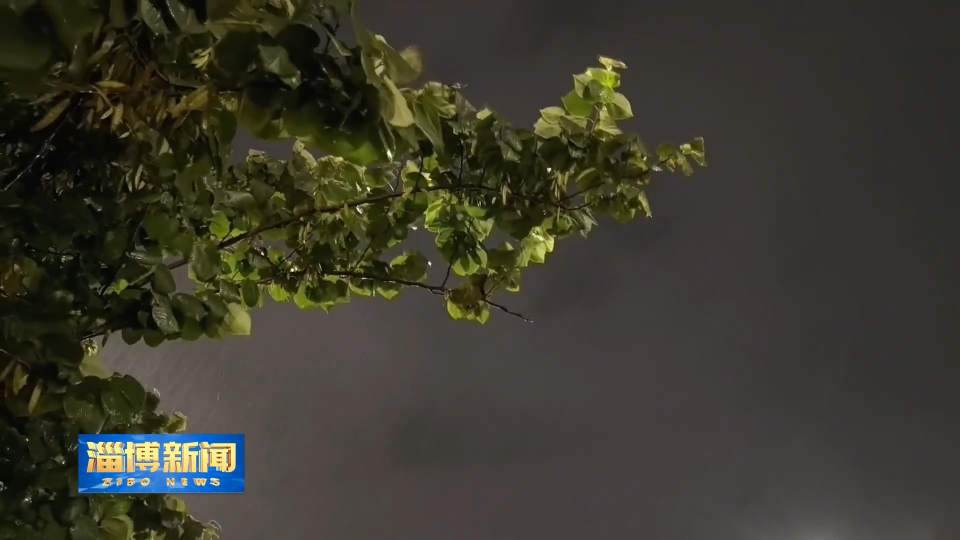 【淄博新闻】淄博：多措并举 全力做好强降雨应对工作